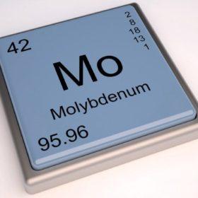 molybdenu v lidském těle