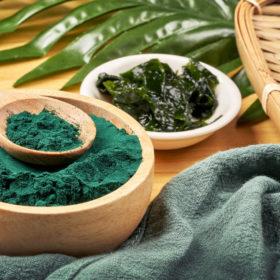 prášek z řas spirulina